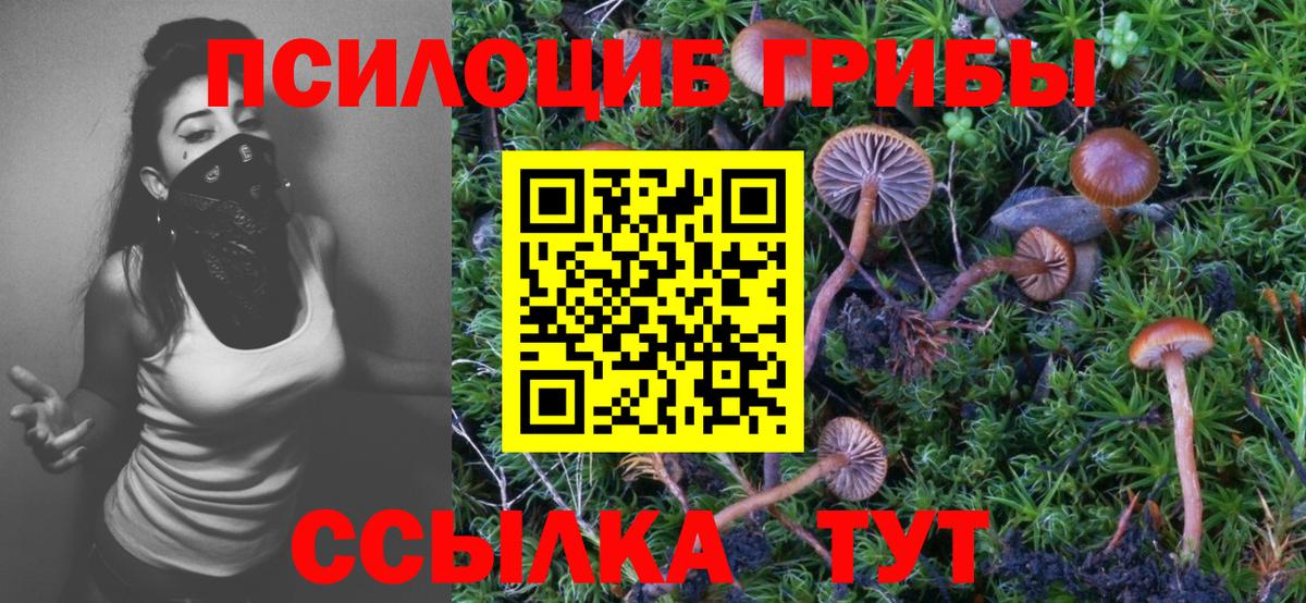 Псилоцибиновые грибы Psilocybine cubensis Учалы